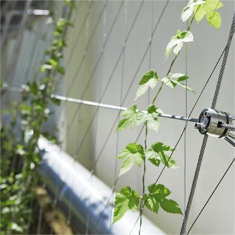 Green Solution